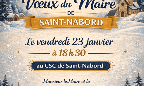 Cérémonie des vœux du maire