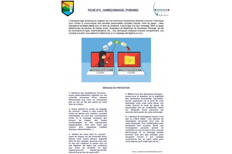 Fiches conseils de la gendarmerie  départementale des Vosges contre les attaques frauduleuses et malveillantes sur internet